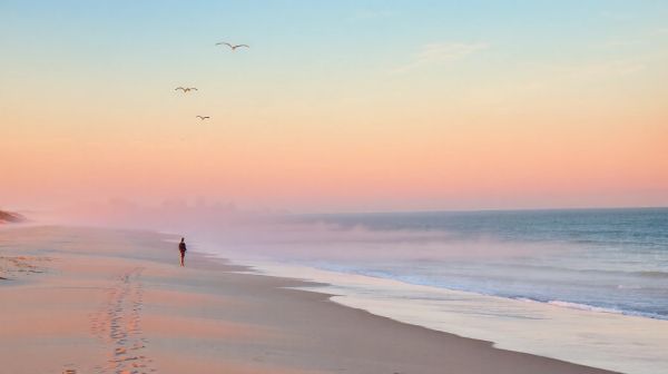 Top 5 raisons de choisir le Roussillon pour votre escapade côtière
